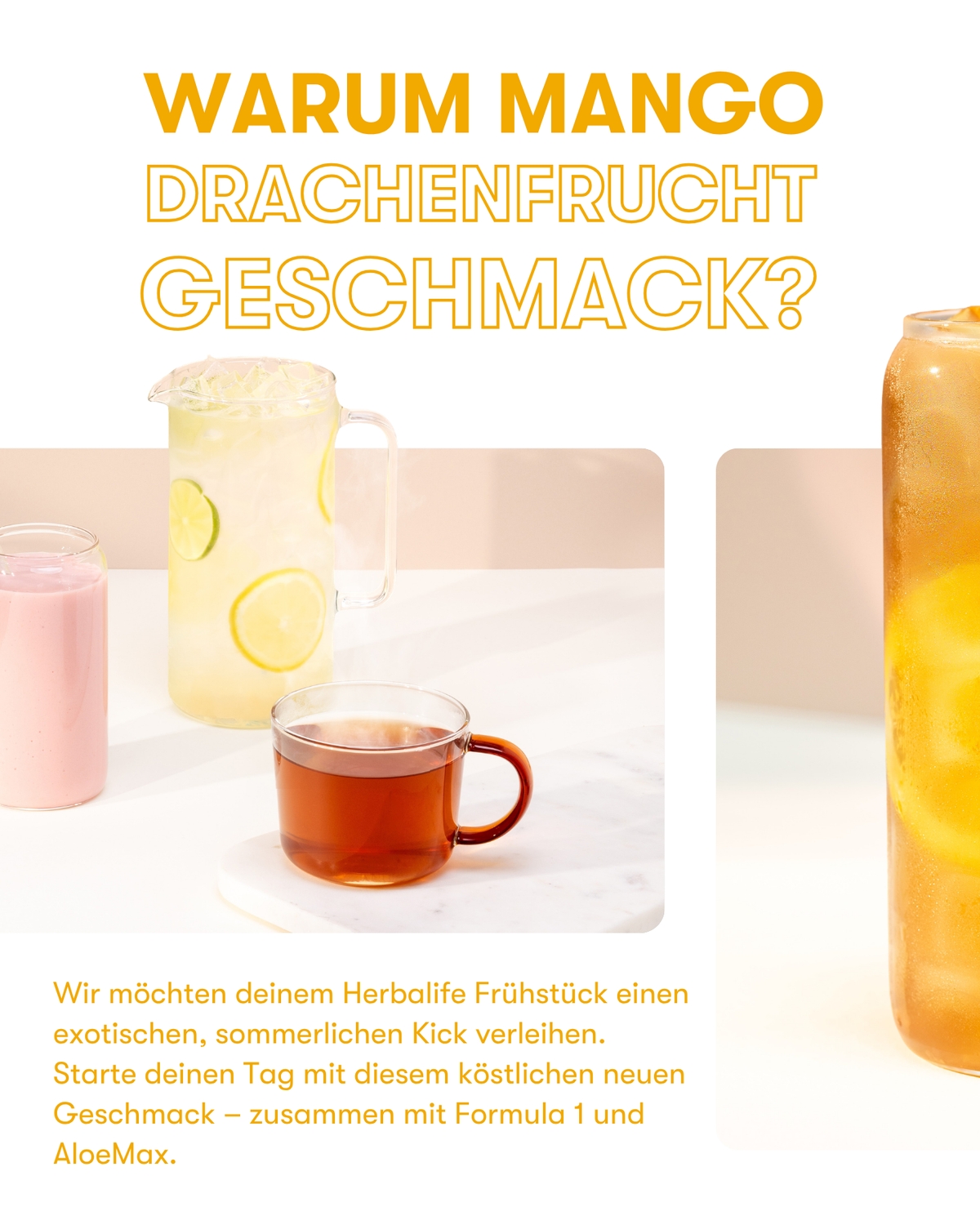 Herbalife Instant-Kräutergetränk mit Tee-Extrakten Mango (ref: 330K)